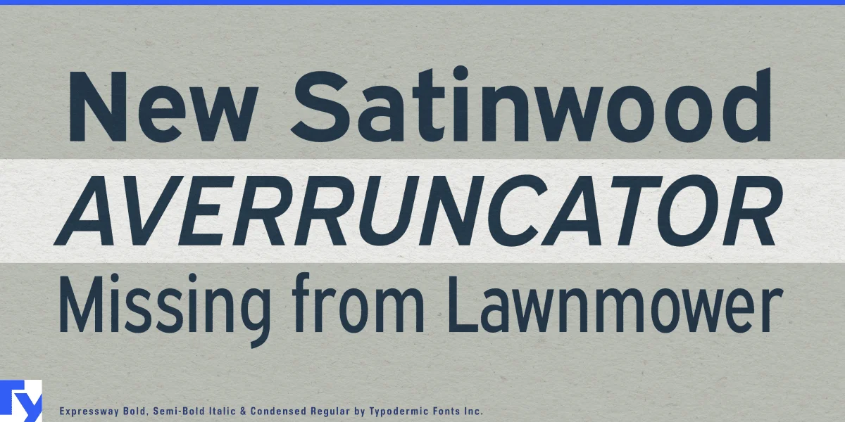 Expressway Font preview 4