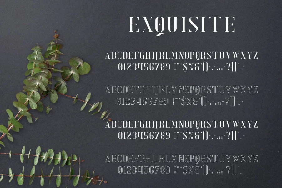 Exquisite Font preview 10