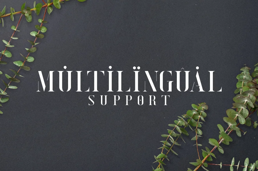Exquisite Font preview 11