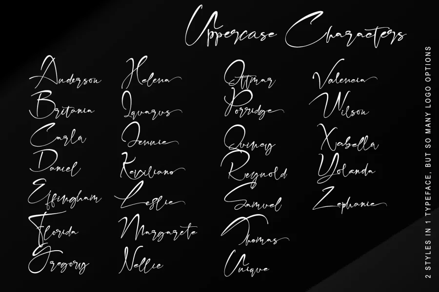 Fabregas Font preview 10