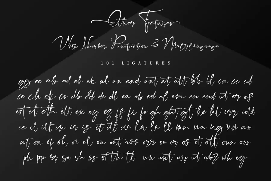 Fabregas Font preview 12