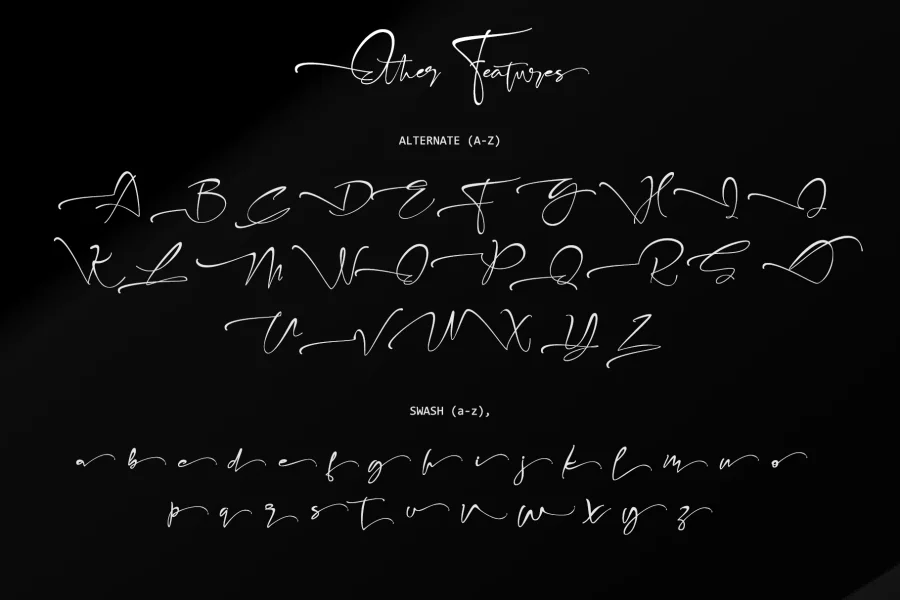 Fabregas Font preview 13