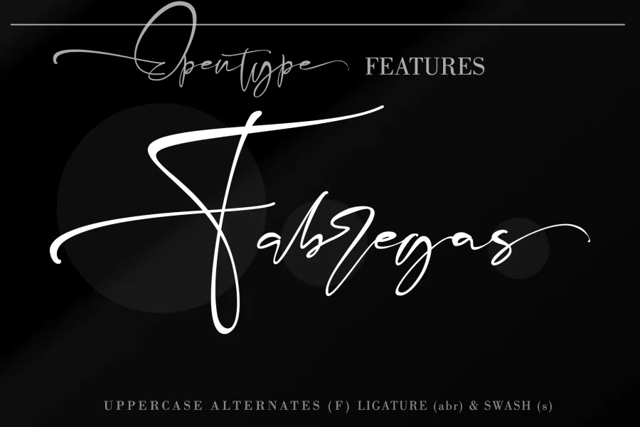 Fabregas Font preview 5