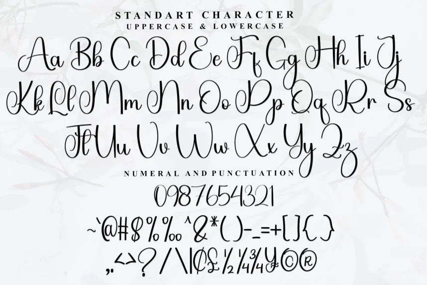 Family Style Script Font preview 6