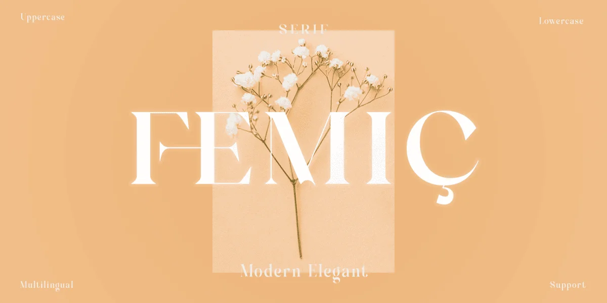 FEMIC Font