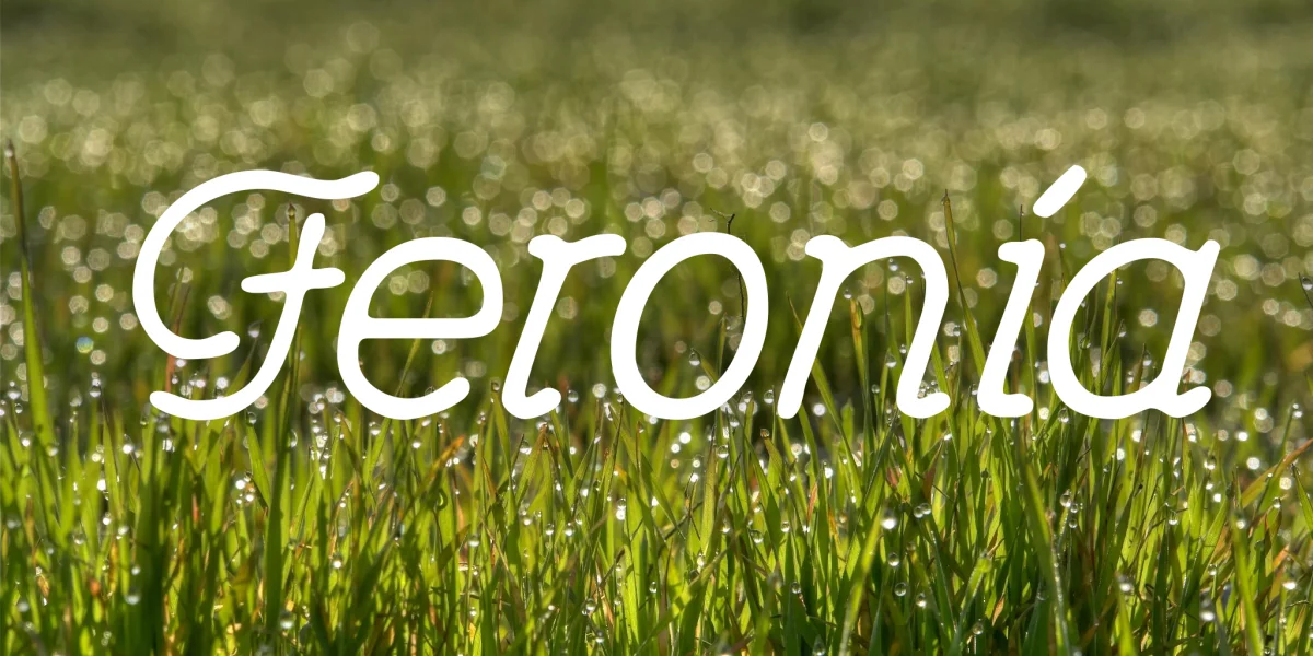 Feronia Font preview 2