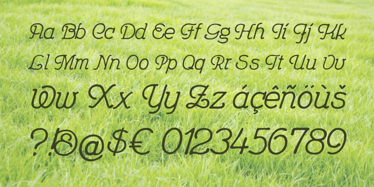 Feronia Font preview 5