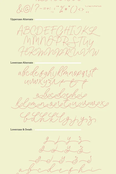 Fillia Script FREE Font preview 10