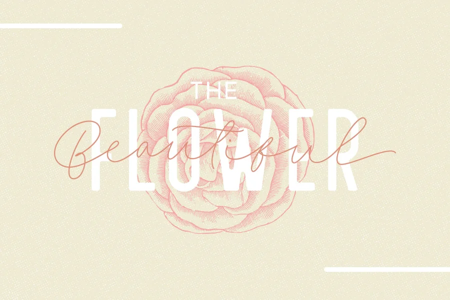 Fillia Script FREE Font preview 2