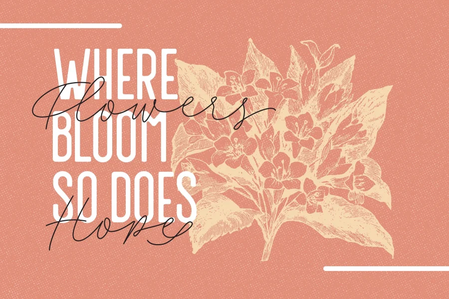 Fillia Script FREE Font preview 6