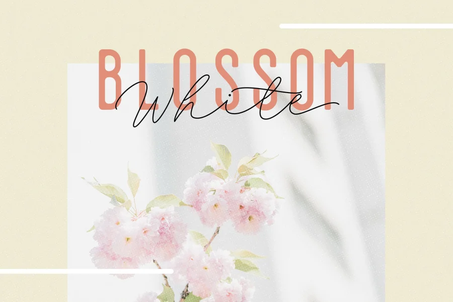 Fillia Script FREE Font preview 8