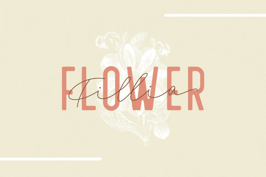 Fillia Script FREE Font preview 9