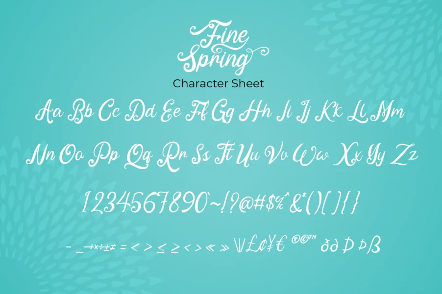 Fine Spring Font preview 6