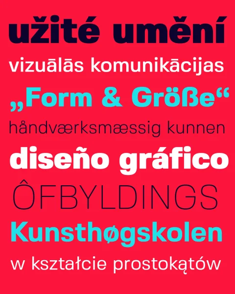 Fivo Sans Font Family preview 4
