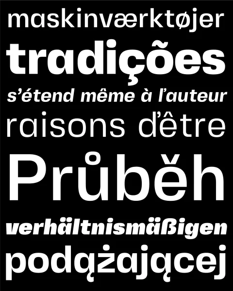 Fivo Sans Modern Font Family preview 2