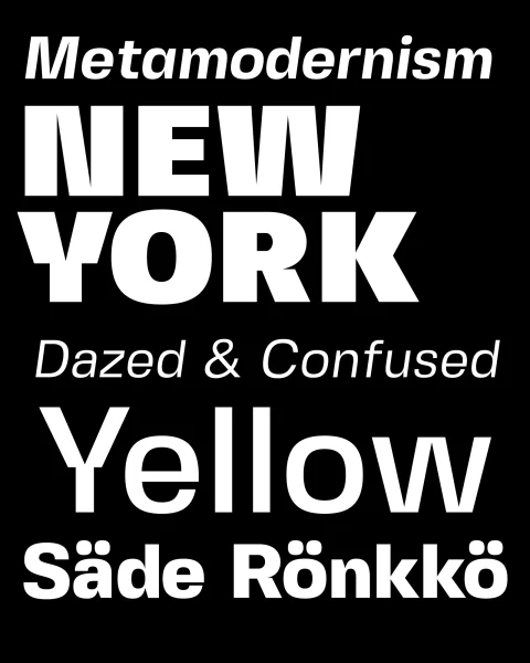Fivo Sans Modern Font Family preview 4