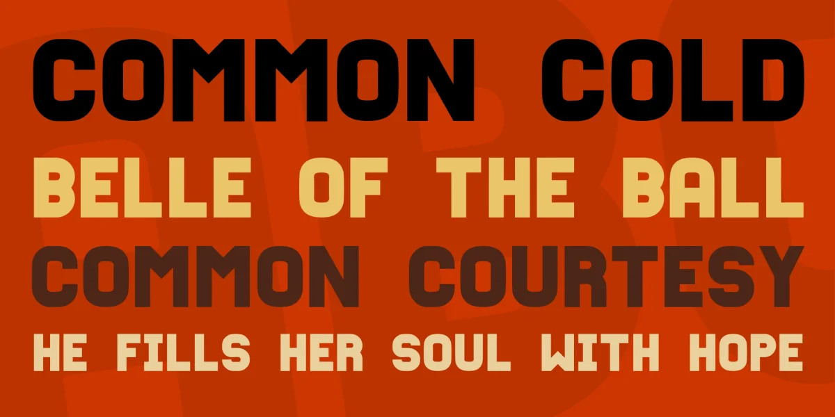 Fixation Font Family preview 8