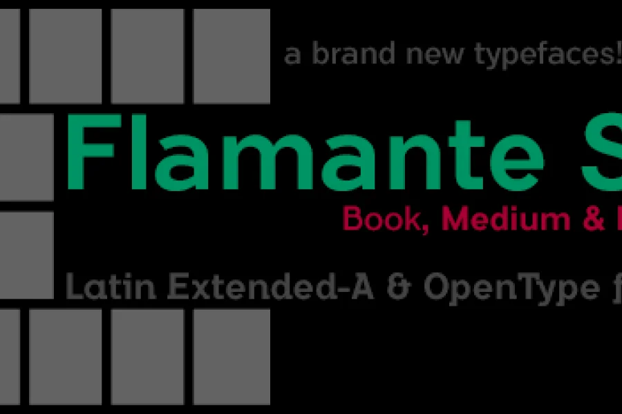 Flamante Sans Font Family preview 5