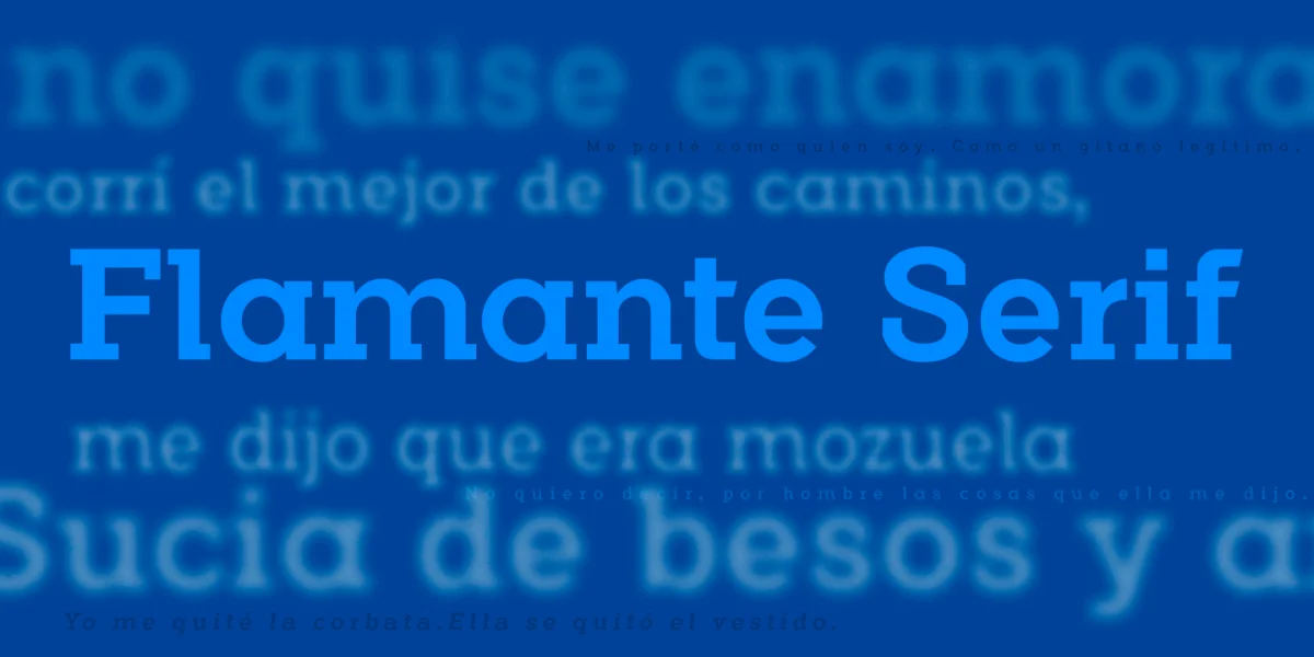 Flamante Serif Font Family preview 3