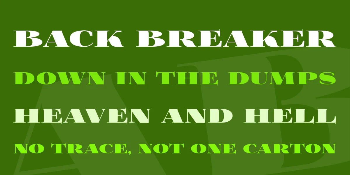 FoglihtenB Font Family preview 2