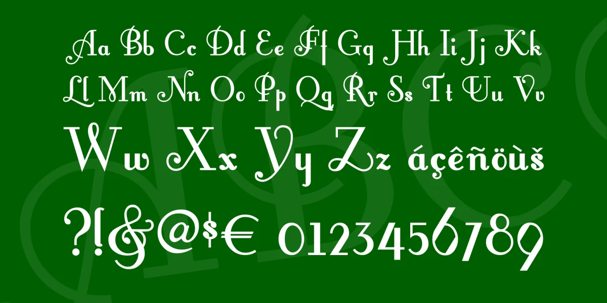 Fontleroy Brown NF Font preview 4