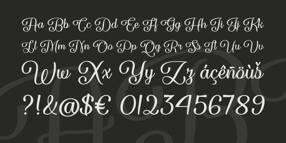 Forgiven Script Font preview 4