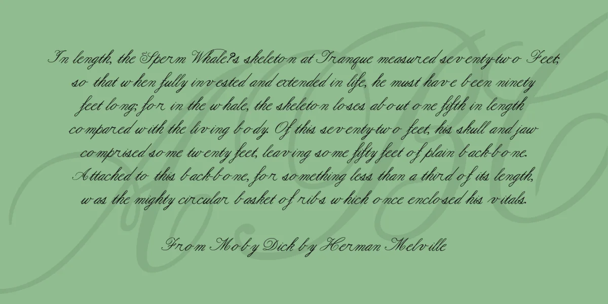 Formal Script Font Family preview 3