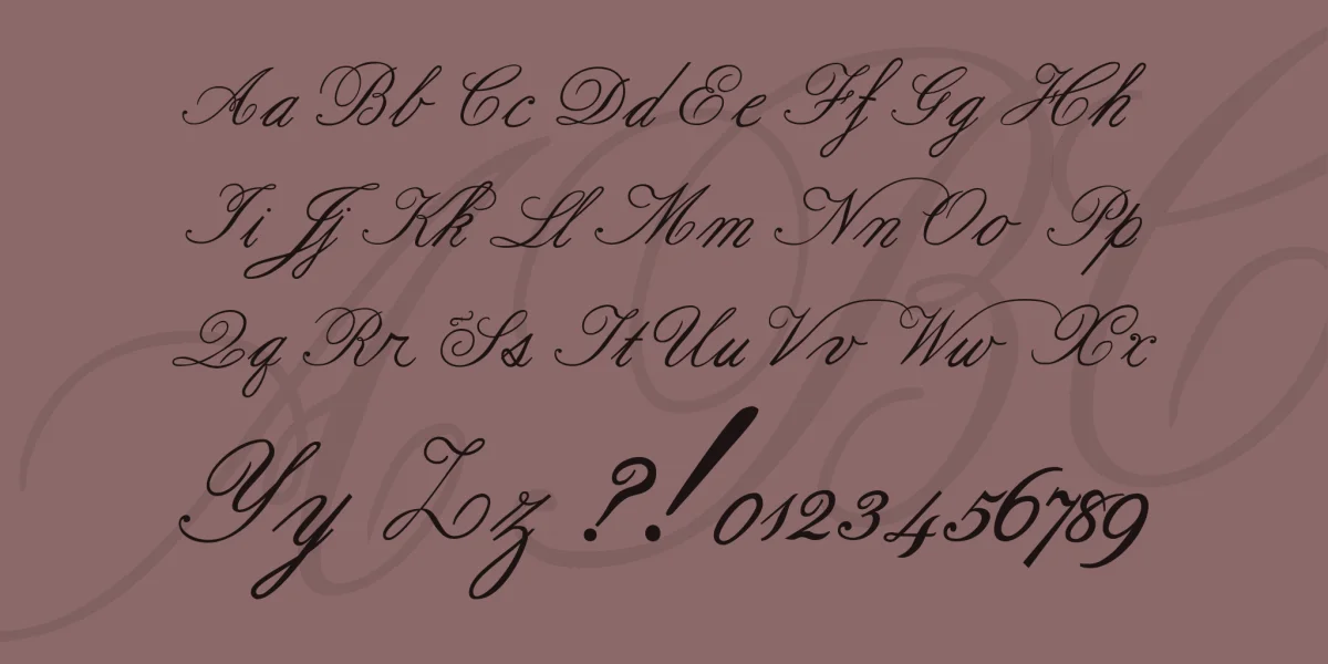 Formal Script Font Family preview 4