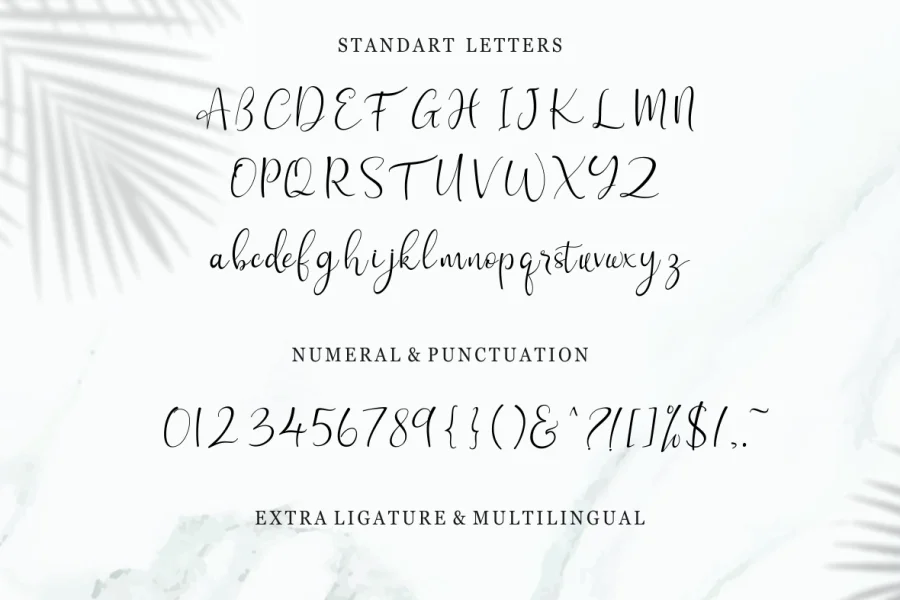 freya Font Family preview 8