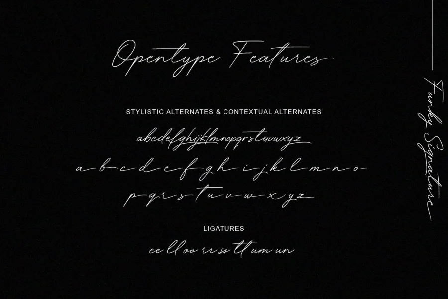 Funky Signature Font preview 8