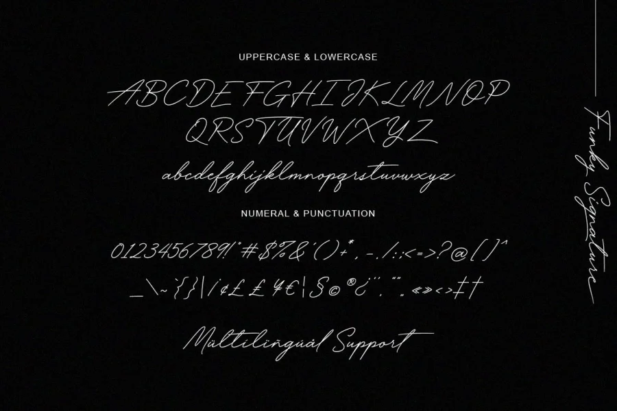 Funky Signature Font preview 9