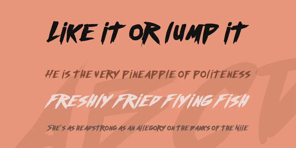 future Font Family preview 2