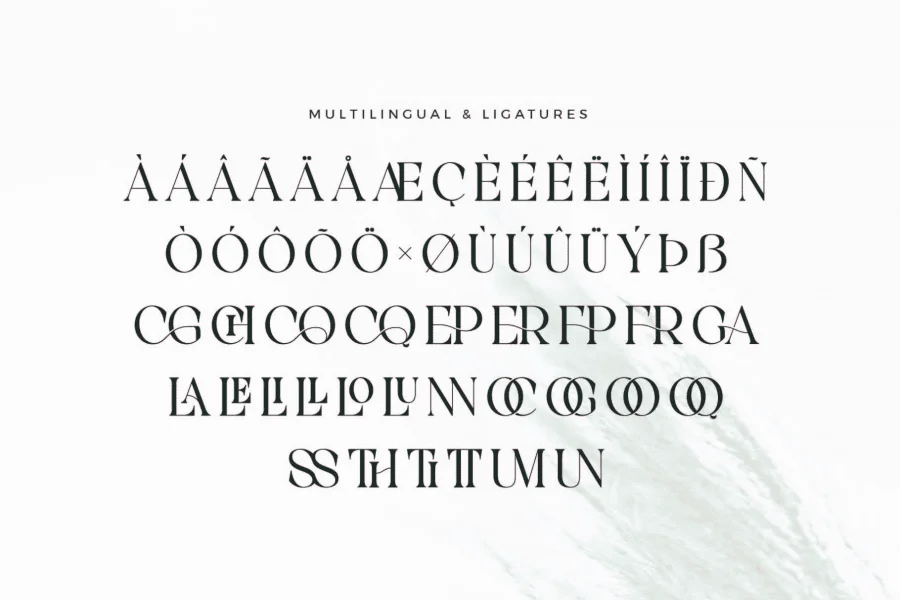 Gacor Font preview 9