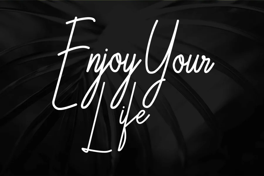 Galliyani Font preview 7