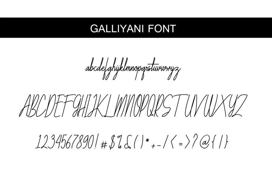 Galliyani Font preview 8