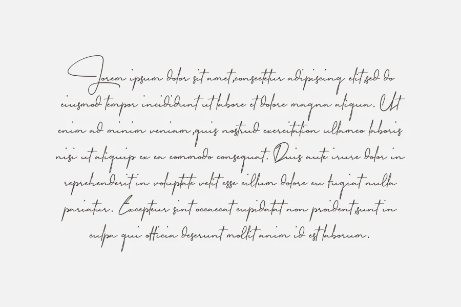 Garfield Signature Font preview 9
