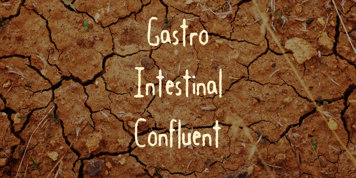 Gastro Intestinal Confluent Font