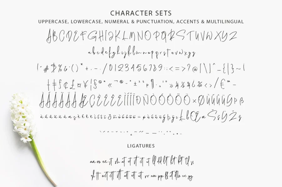 Genit Font preview 12
