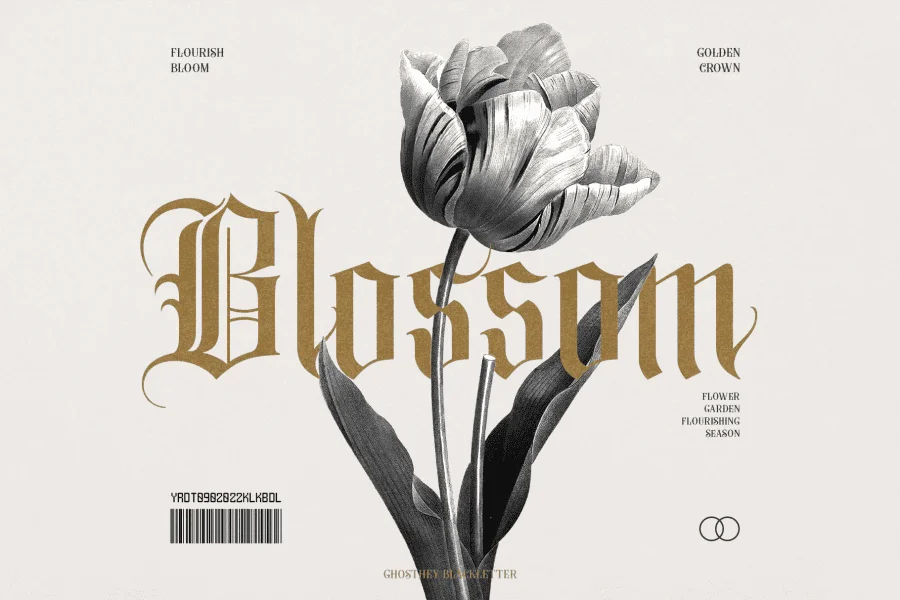 ghosthey Font Family