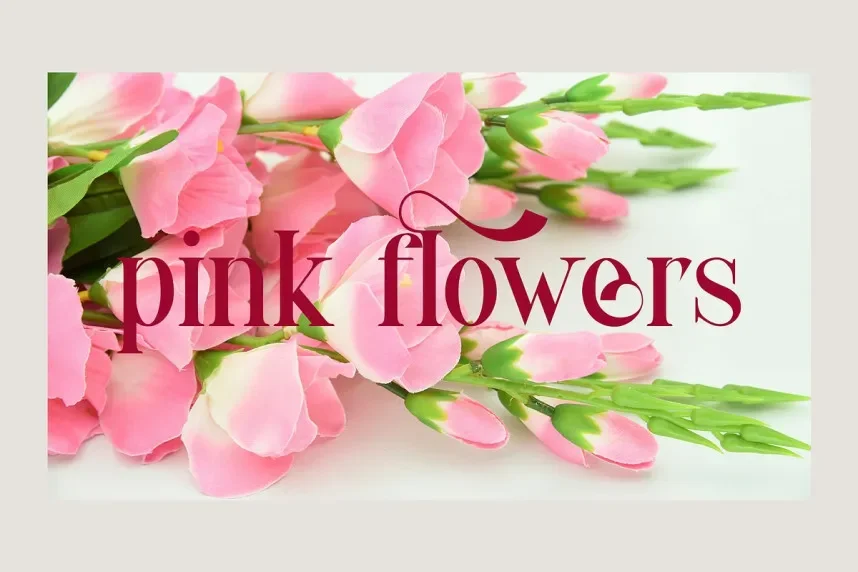 Gimbo Serif Font preview 5