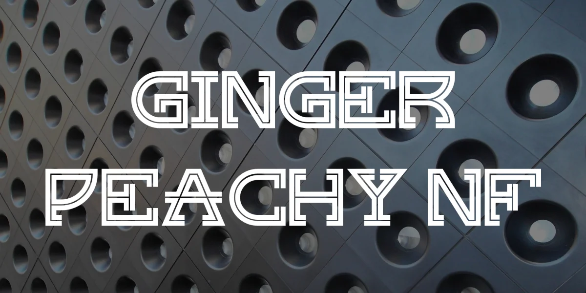 Ginger Peachy NF Font
