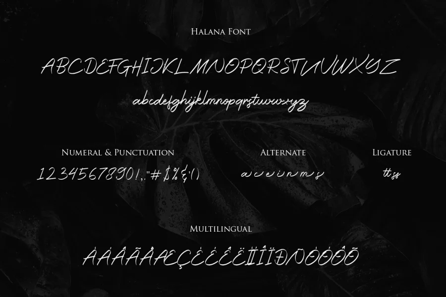 Halana Font preview 7