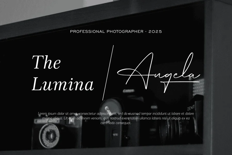 Hamburg Signature Font preview 8