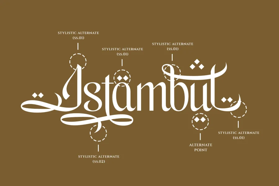 Haymila Font preview 9