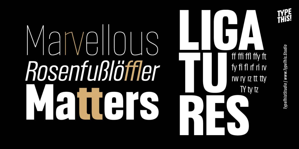 Headlines Font Family preview 3