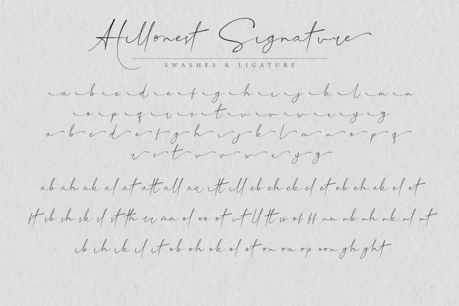 Hillonest Signature Font preview 13