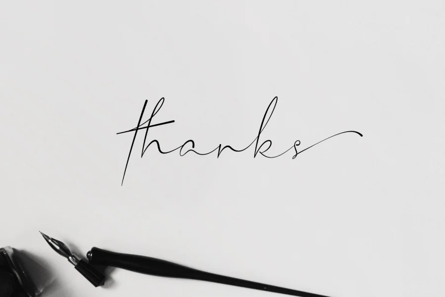 Hillonest Signature Font preview 14