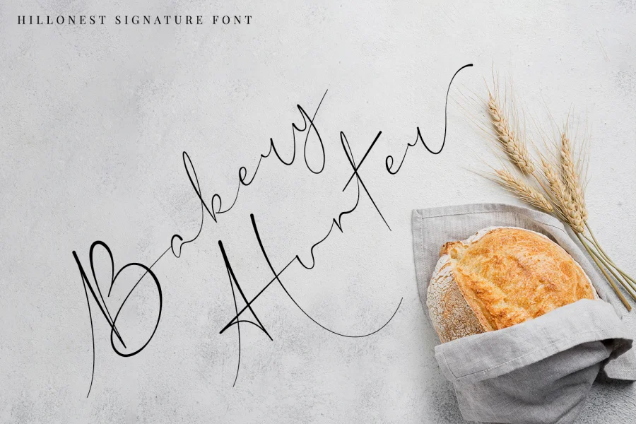 Hillonest Signature Font preview 8