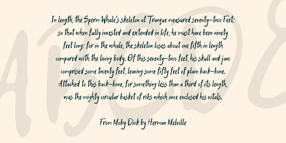 Hitch Hike Font preview 4
