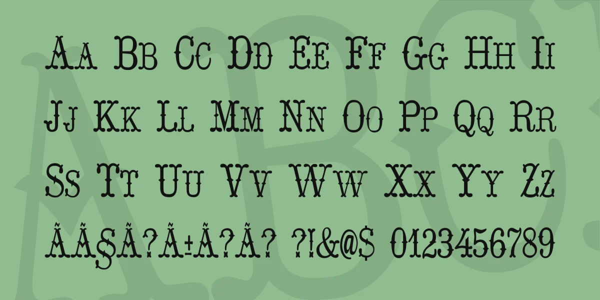 Hoedown Font Family preview 3